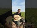 موال عراقي بصوت الفنان محمد العراقي