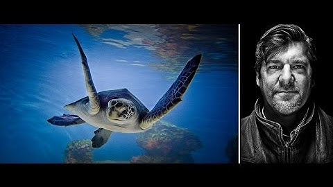 Get Your DAM Workflow Under Control with Peter Krogh