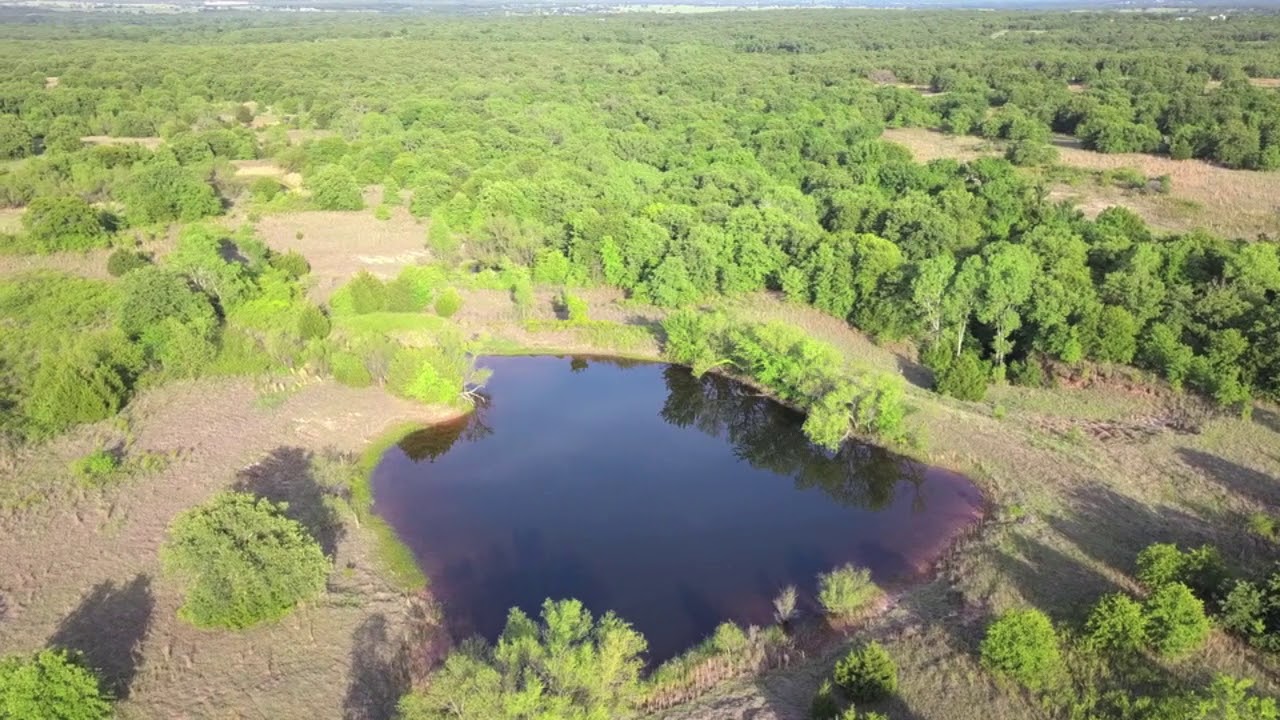 36 Acre Hunting Ranch For Sale in Montague County Texas 