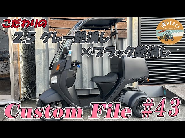 カスタムファイル#43＞4st ジャイロキャノピー・ミニカー仕様・2.5