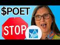 POET Stock TOMORROW UPDATE! (The Exact Answer!) POET Technologies