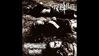 Necrocannibalistic Vomitorium / Reptile (Full Split; 2011) [Sludge/Doom Metal]