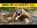 ये हैं दुनिया के सबसे खतरनाक खतरनाक कछुए | These are the world&#39;s most dangerous turtles species