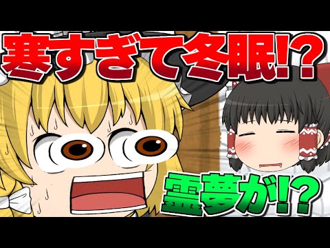 【ゆっくり茶番】霊夢が寒すぎて冬眠...？