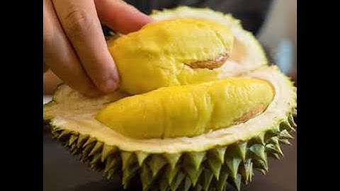 Người Bị Tiểu Đường Có Được Ăn Sầu Riêng Không? || Khổ Qua Rừng Mudaru