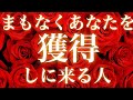 🌹タロット占い🌹あなたはどんな人に狙われているの？ハッキリ出ました✨驚く程当たる恋愛タロット占い🕊✨オラクルカードリーディング🎠【波動調整付き】