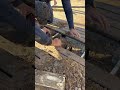 A gata da diva foi resgatada