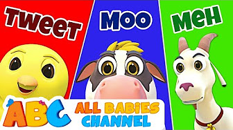 Baby Animals Song | Nursery Rhymes and Kids Songs - YouTube