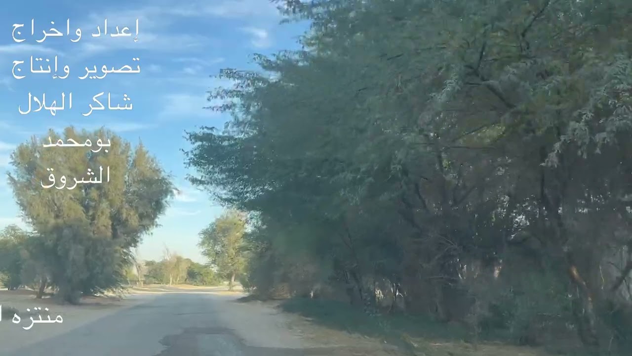 منتزه الاحساء الوطني 6/1/2025 / عدسة بومحمدنأمل الاشتراك في القناة ليصلك كل جديد.