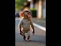 Monkey  Puppy Friendship Story | Emotional &amp; Inspiring”🥰#trending #Sad #viral