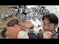 日本コーヒー文化の最深部へ！ネルドリップ沼へようこそ【GINZA COFFEE FESTIVAL 2026】