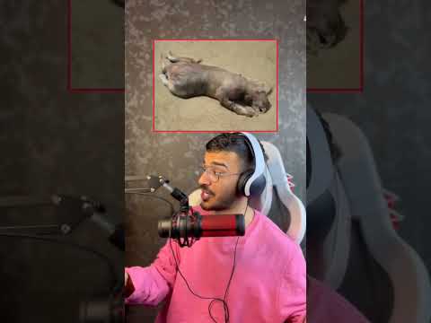 هیولای سریال چیزهای عجیب پیدا شد   