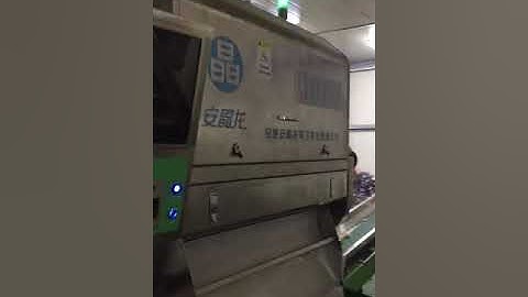 Peeled Garlic Sorting Machine