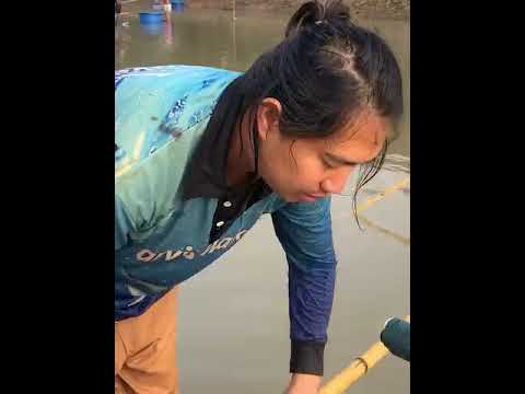 กำนี่ กึ่งโลได้อยู่  #fishing #ตกปลา #ยกยอ  #viral  #fish #ยกสะดุ้ง