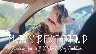 Helping Houston's Homeless| Man & Dog
