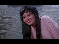 Koyaliya gati hai  anuradha paudwal jungle love song l       