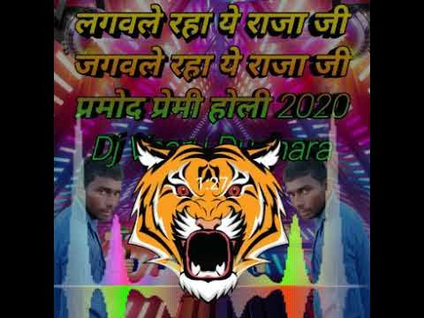 dj holi veeru