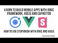 How To Use Storybook with Ionic and Vue JS