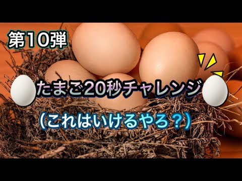 ‼️第10弾‼️たまご🥚20秒チャレンジしちゃうぞ！😏🐣