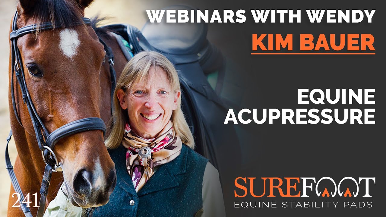 No. 241. Kim Bauer, Equine Acupressure