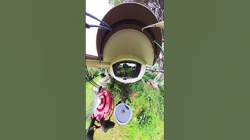 Fisheye change in perspective bird feeders 😮 #hummingbird #hummingbirdfeeder #insta360 #insta360x3