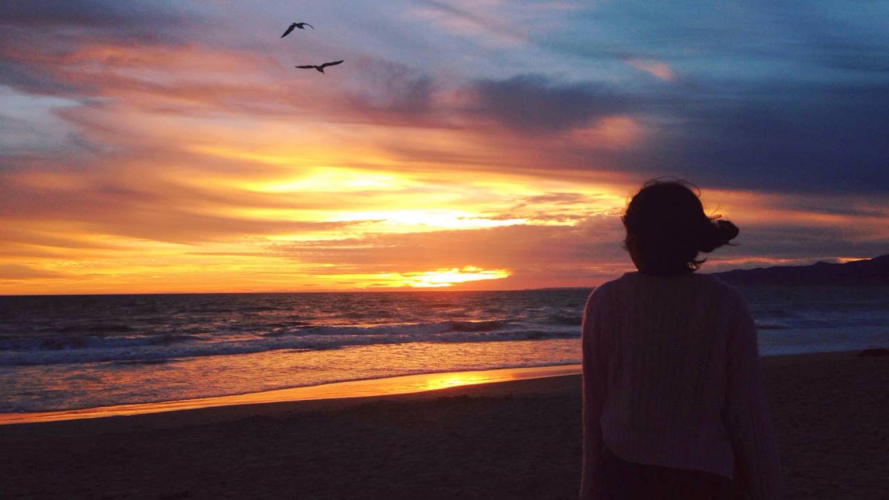 Organic Patterns - A Mid Fall Sunset