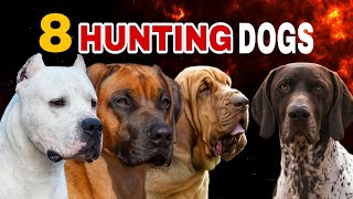 Top 8 Hunting Dogs Breeds That Excel In The Field