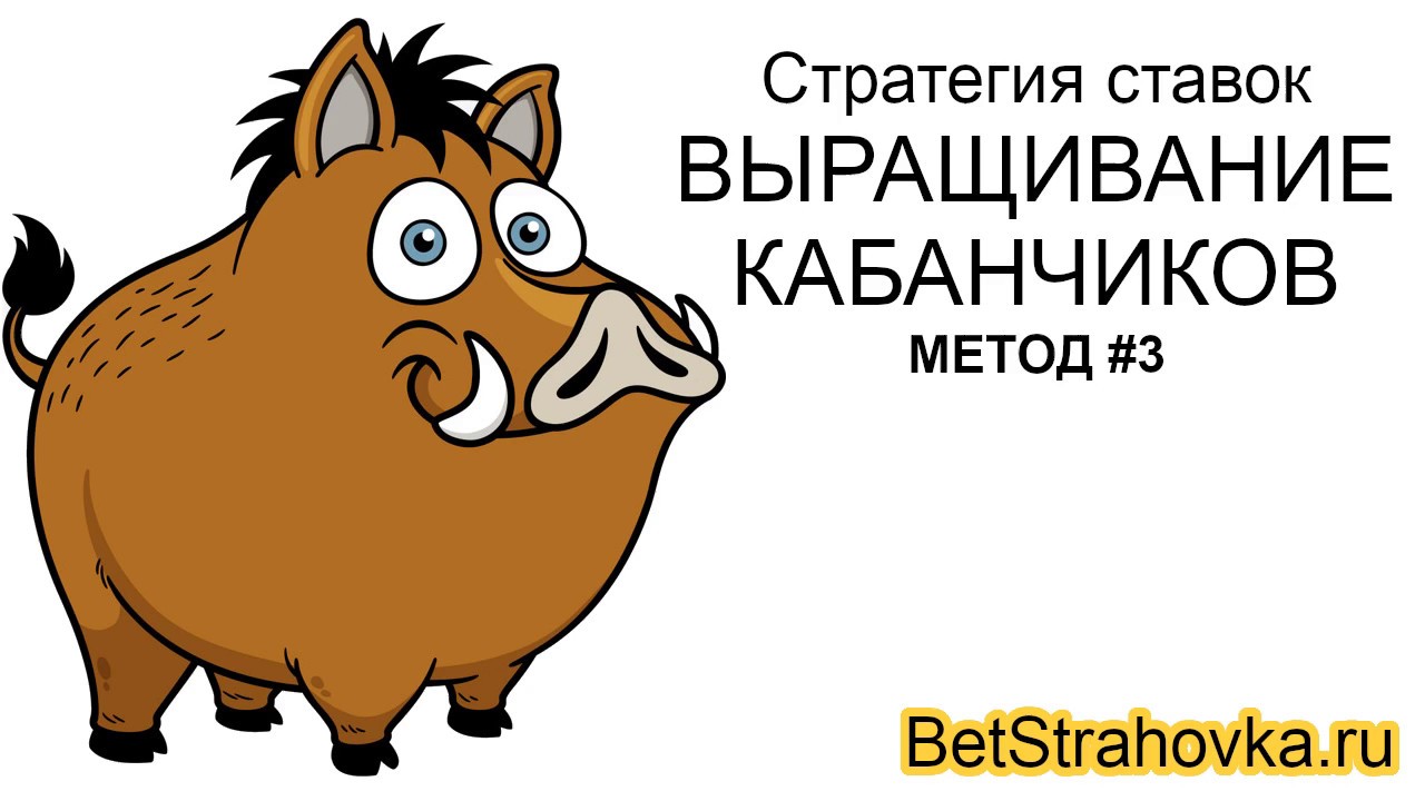 Что значит выращивание кабанчиков в ставках на спорт Что значит выращивание кабанчиков в ставках на спорт