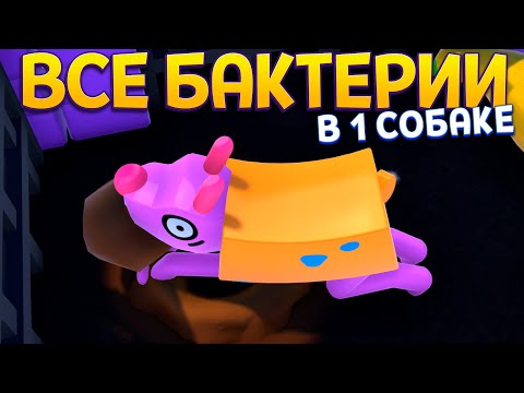 Видео: ВСЕ ЗАПИХАЛ В 1 СОБАКУ ( Wobbledogs )