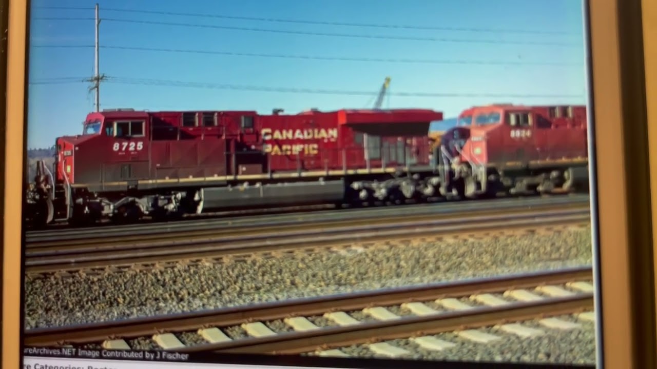 Cp 8725 and his horn is broken