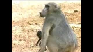Humphrey Ireri Wagikunju (Junior) Mbeere Gutiri Arogi