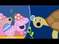 Peppa Besucht das Great Barrier Reef! | Cartoons für Kinder