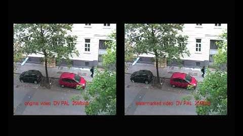 Video-watermarking Demonstration 1