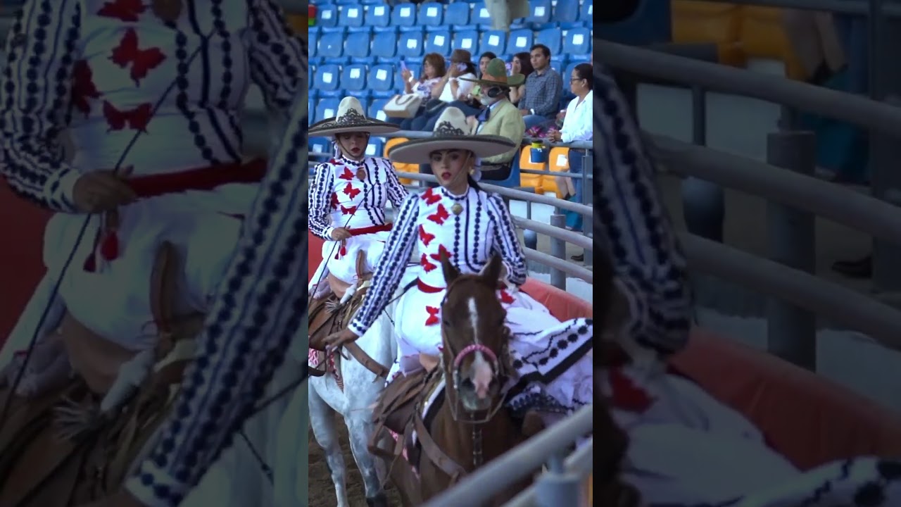 Elegancia en el movimiento, orgullo en el corazón.