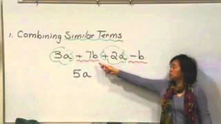 Combining Similar Terms
