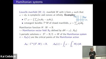 Kai Cieliebak: Lagrange multiplier functionals