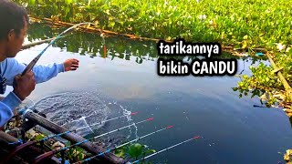 Mancing Cirata terbaru!! ini yang bikin pemancing susah tidur