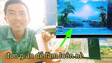 hướng dẫn dán tranh hồ cá đẹp ai cũng Làm Được!