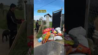 Te esperamos #parati #perros #adopta