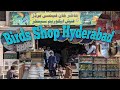 Birds shop hyderabad  bird cage  birds accessories  birds shop hyderabad  panhwar bird lover