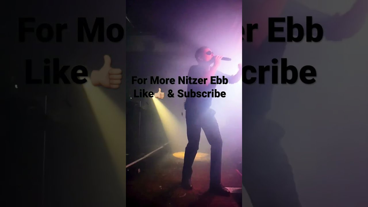  NitzerEbb London2018 Short Itravelformusic Music Travel Concert Liveband Shortvideo Ebm