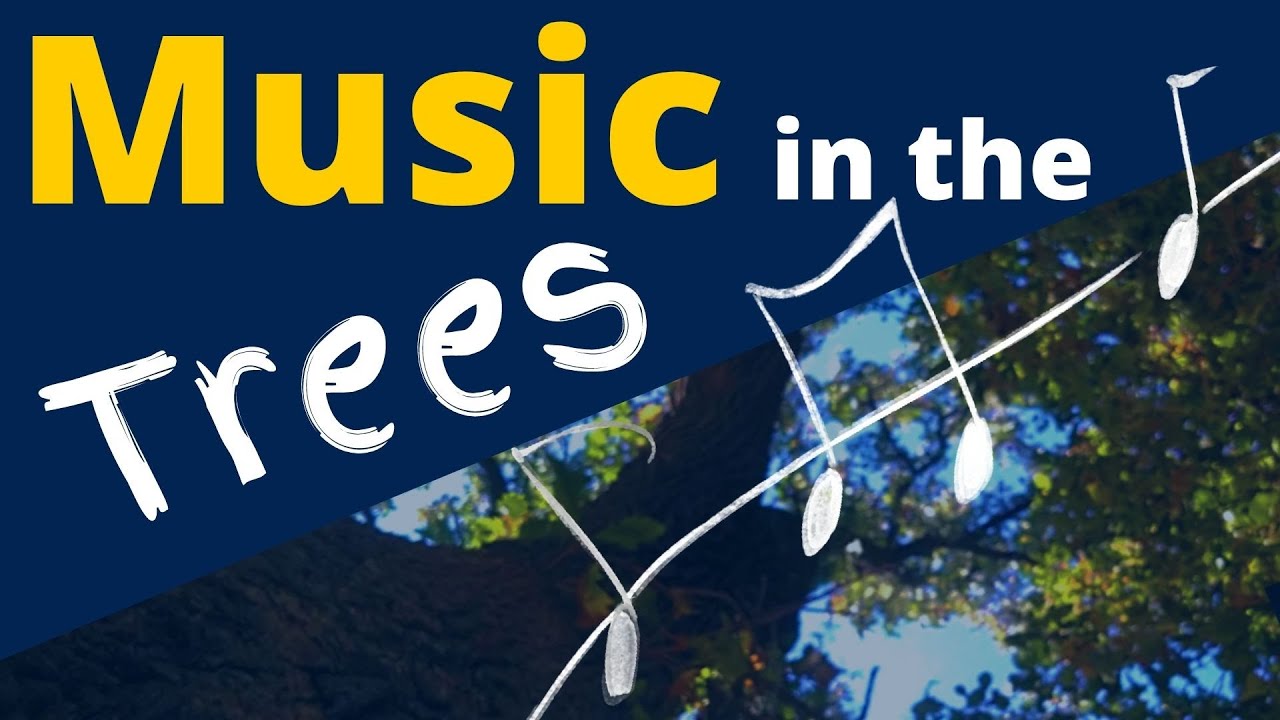 Our original most popular music | Enjoy the tree scenery while you ...