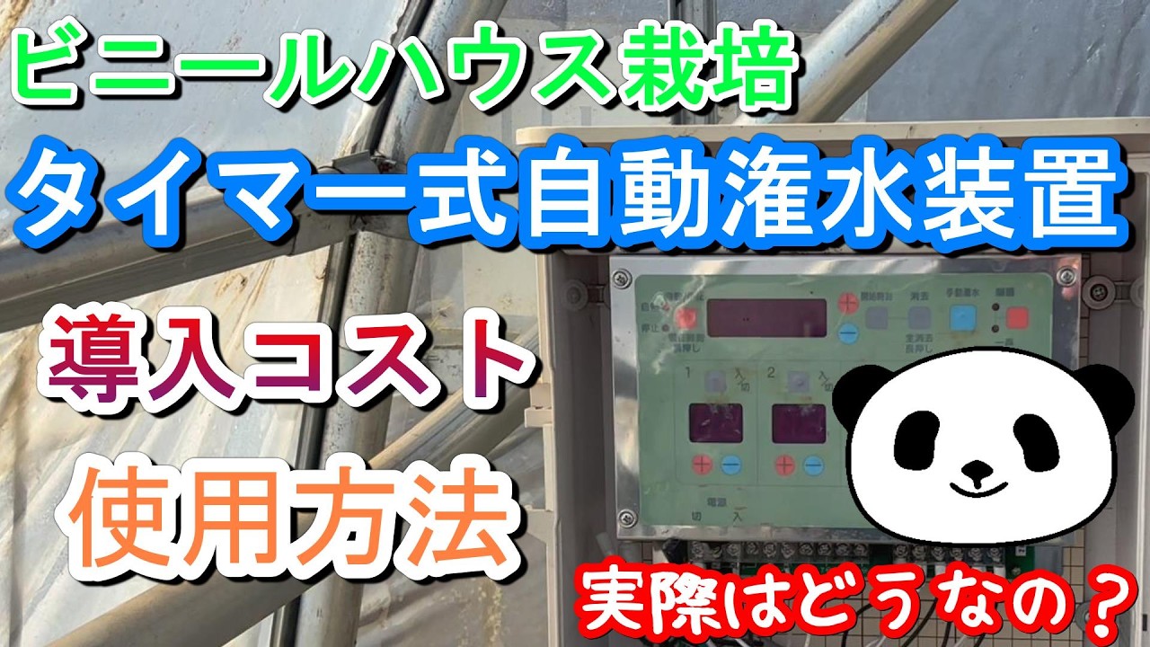 What do you think of timer-controlled automatic irrigation systems