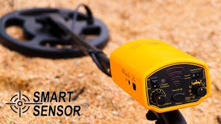 ПОПУЛЯРНЫЙ МЕТАЛЛОИСКАТЕЛЬ с АЛИЭКСПРЕСС! SMART SENSOR AR944M/ST944