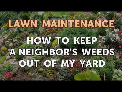 How To Keep A Neighbor S Weeds Out Of My Yard Youtube