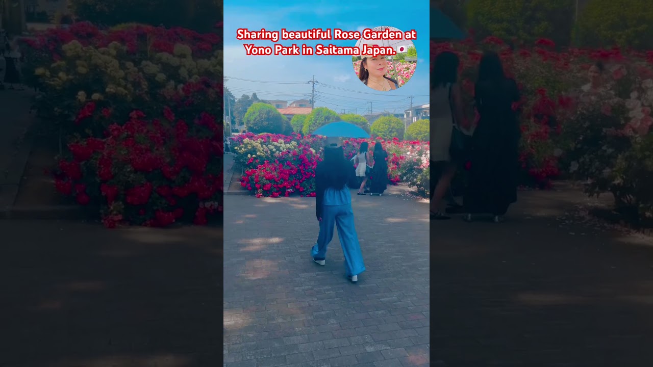 May 20, 2026 Rose Garden in Japan# #japanview #rosegarden #Japan