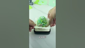 Rooted Resilience: Embracing the New Year like a Tree 🌳 #inspiration #stayawesome