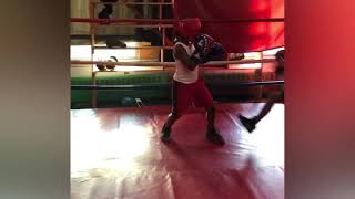 8yr. Old 2nd Sparring Session