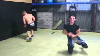 Paul Stolyar And Demsey The Tower Of Terror