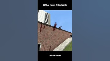 CITRA: Nosey Animatronic #garrysmod #gaming #nextbots #sandbox